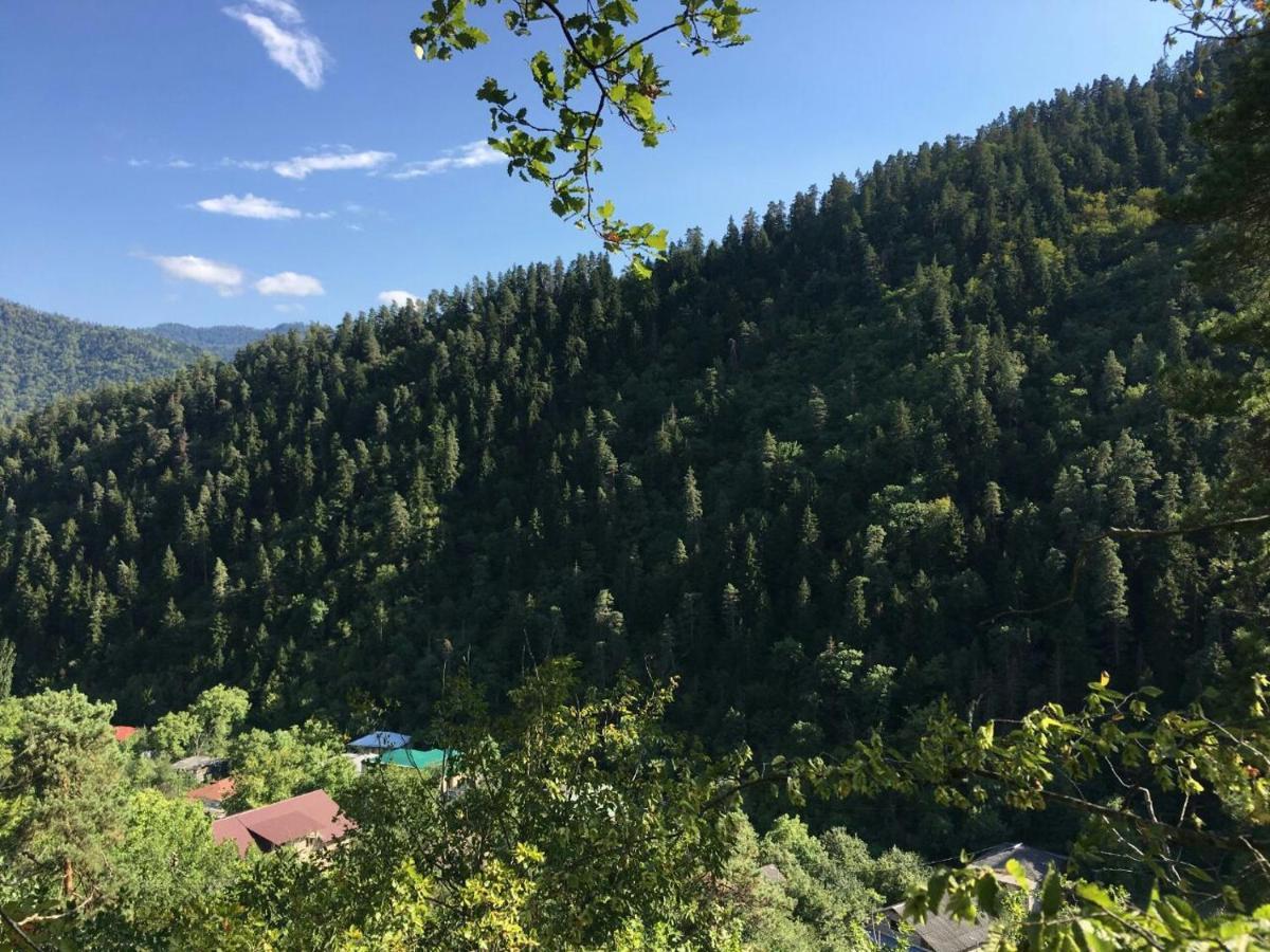 Serenity Likani Villa Hotel Borjomi Exterior photo