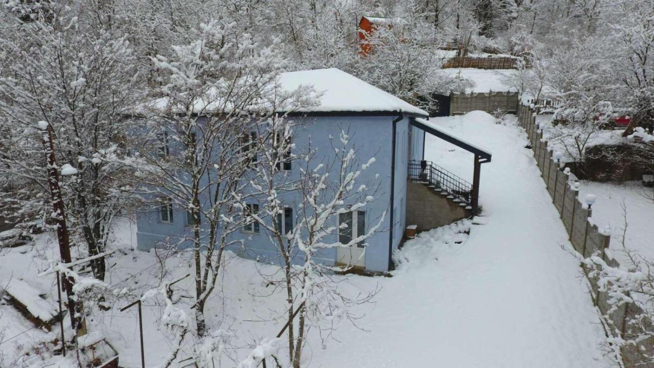 Serenity Likani Villa Hotel Borjomi Exterior photo