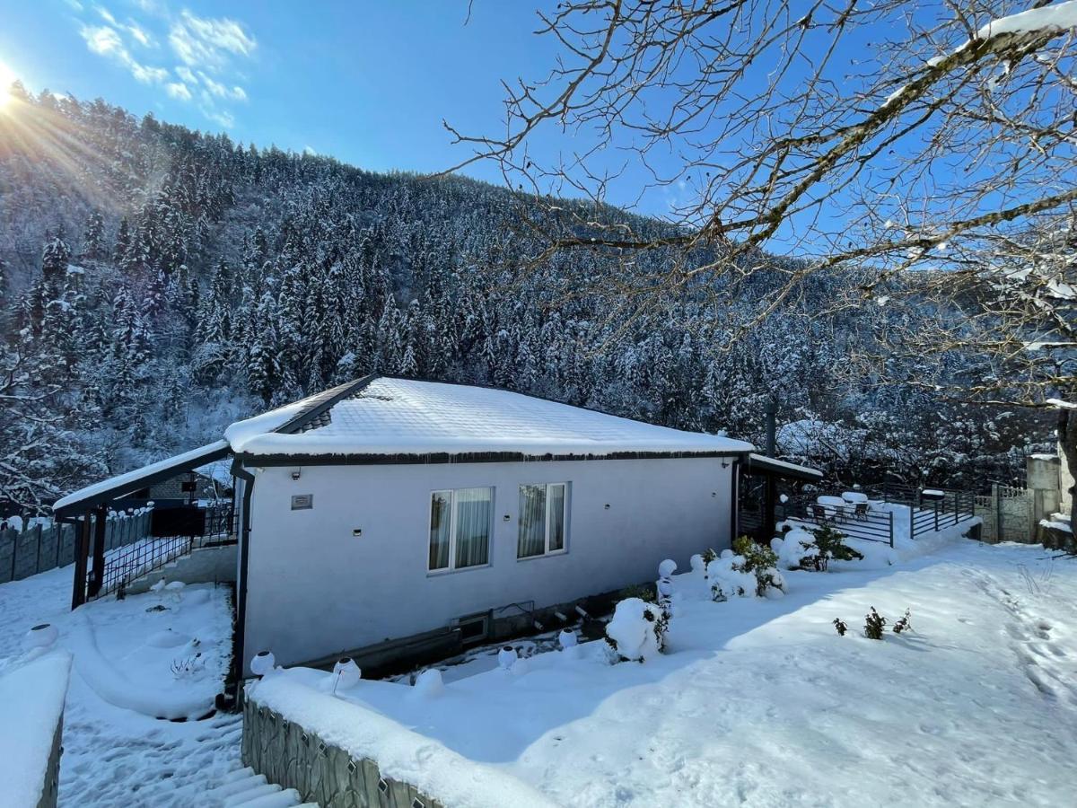 Serenity Likani Villa Hotel Borjomi Exterior photo