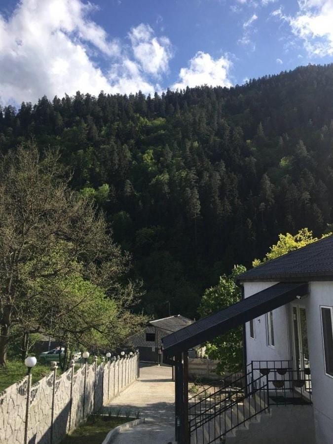 Serenity Likani Villa Hotel Borjomi Exterior photo