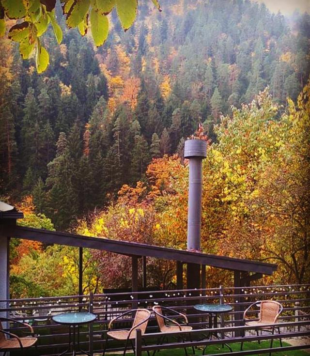 Serenity Likani Villa Hotel Borjomi Exterior photo